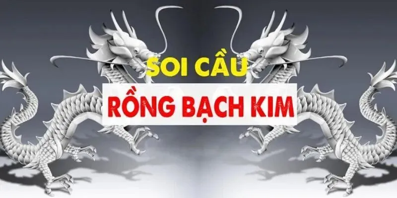 Soi Cầu Rồng Bạch Kim Như Nào? Cách Soi Nhanh Trúng Lớn